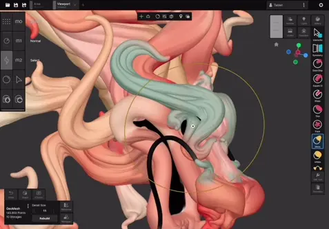 Advanced Sculpting features overview